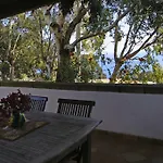 Alba * Kamma